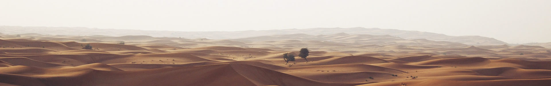 Żƺ޹˾